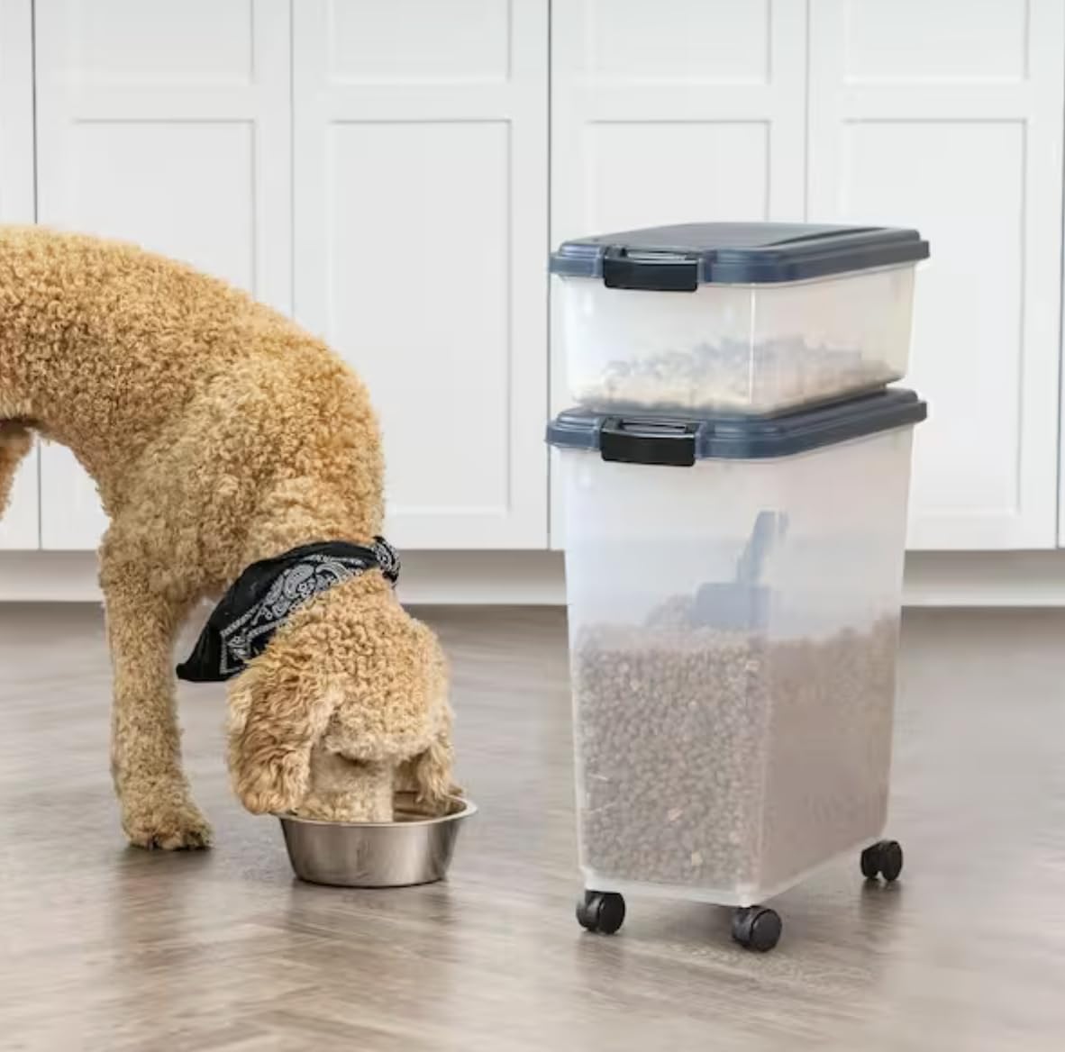 54-Pound Airtight Pet Food Storage with Scoop A896011