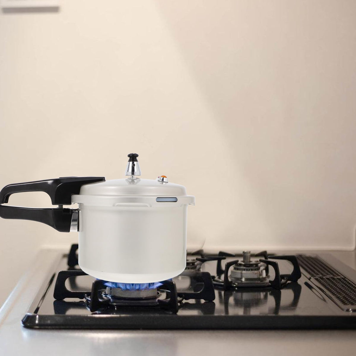 Pressure Cooker 3l Aluminum Pot with Handle S8449