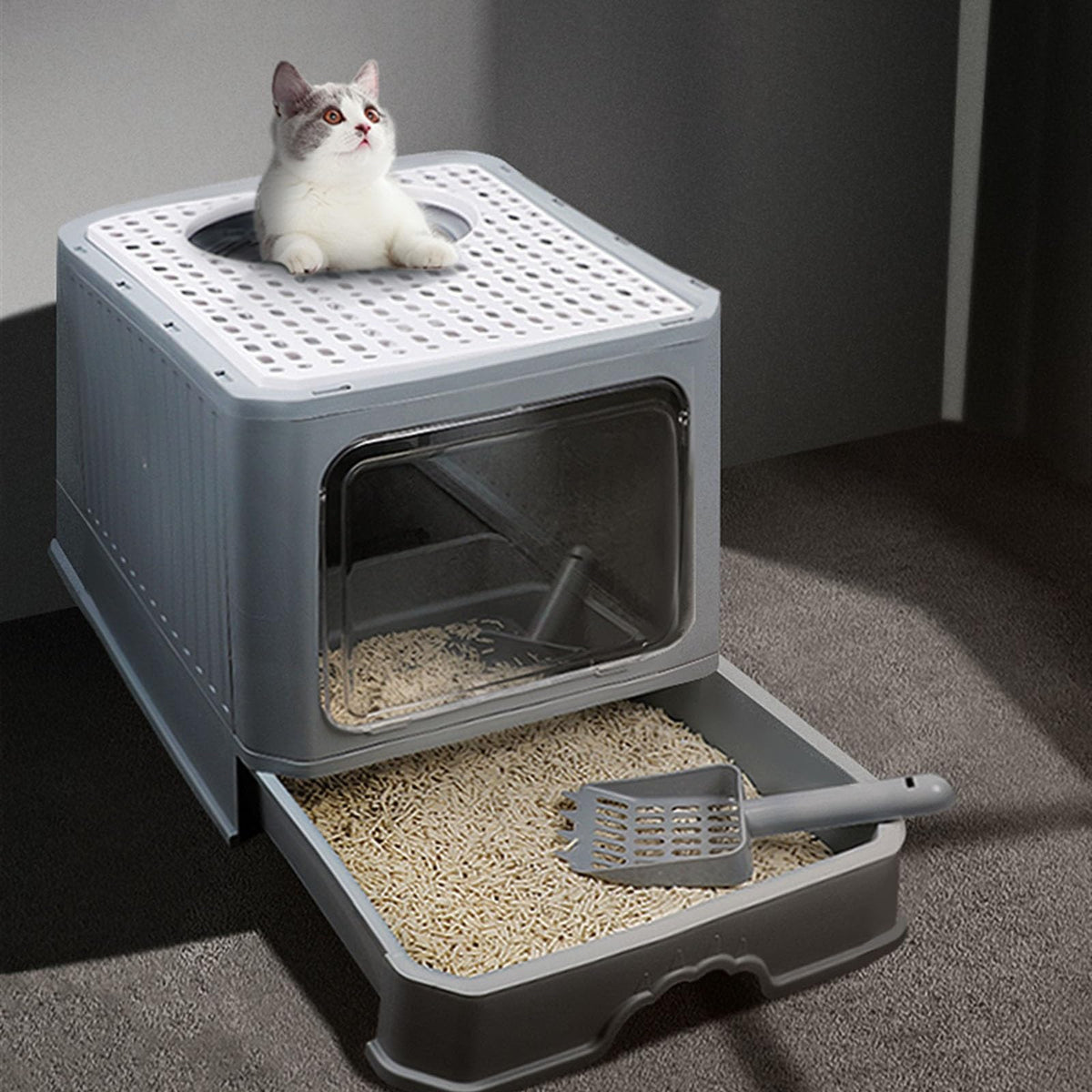Foldable Enclosed Cat Litter Box with Lid O2843