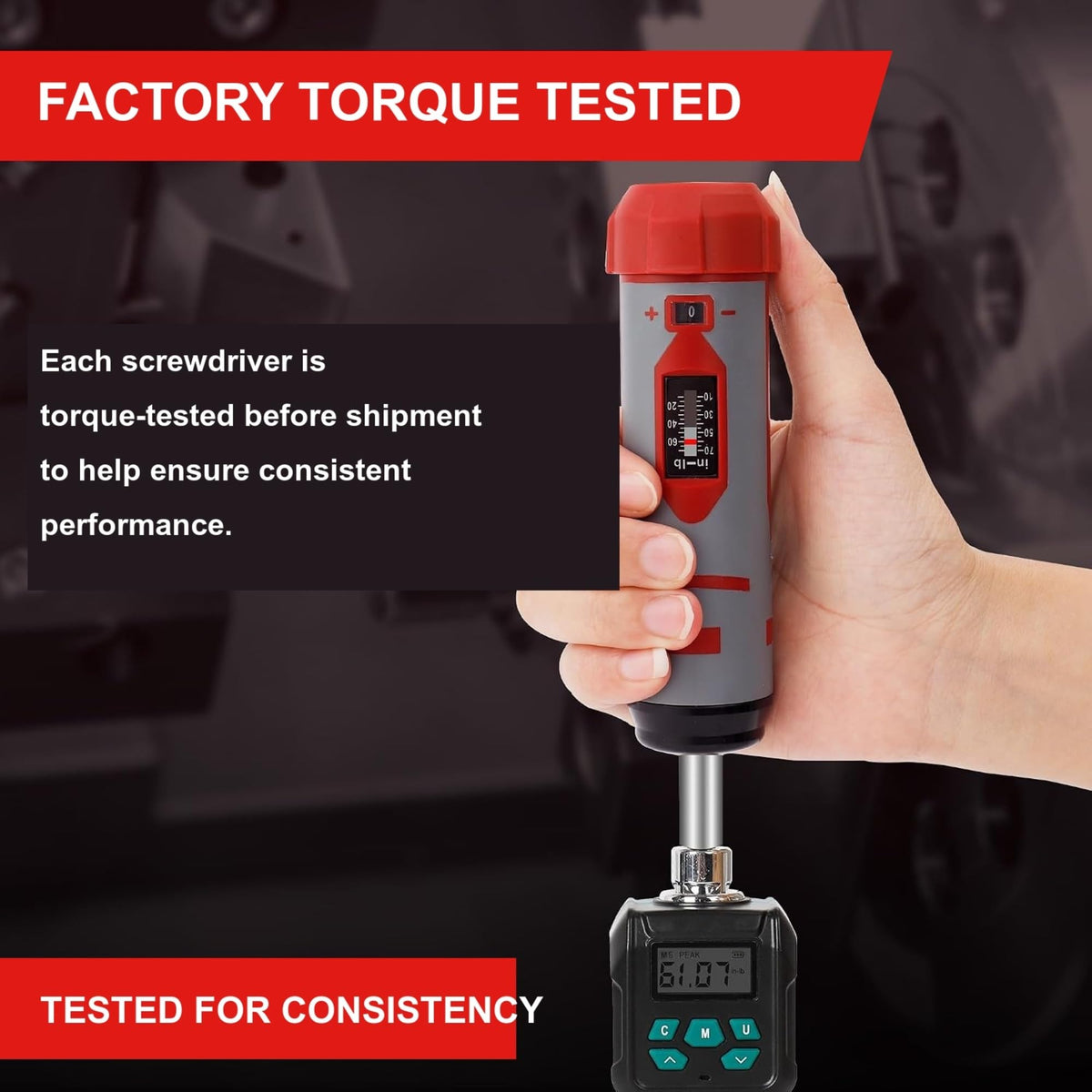 42-Piece Torque Screwdriver Set with 40 CR-V Bits D1929