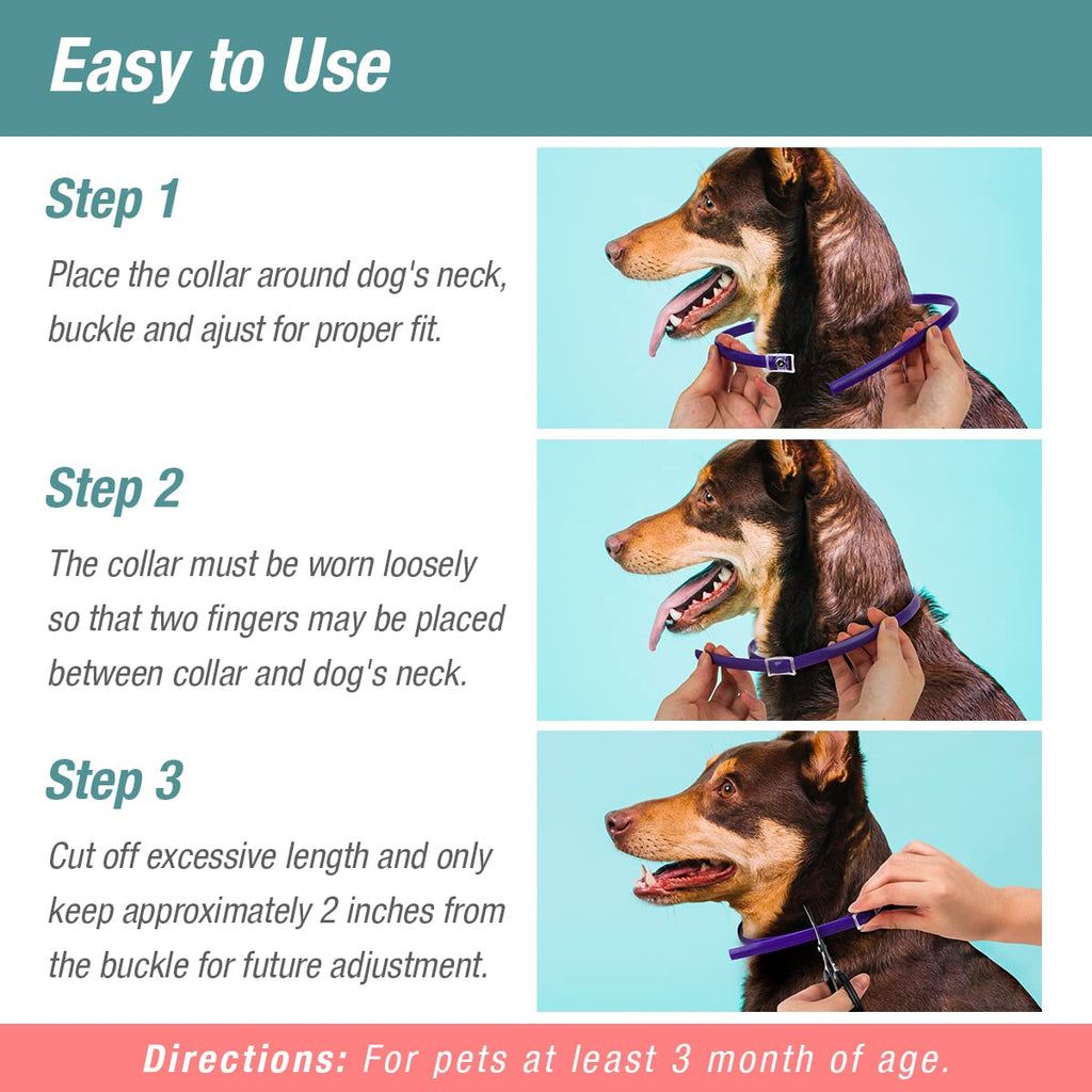 Flea & Tick Collar Plant Powered Blue 2-Pack A393443