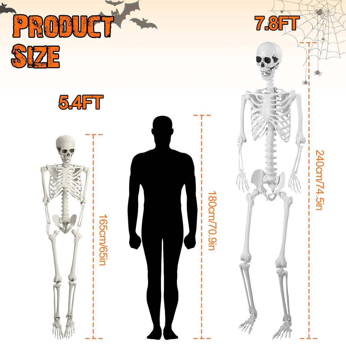 5.4FT Posable Life Size Skeleton N4159