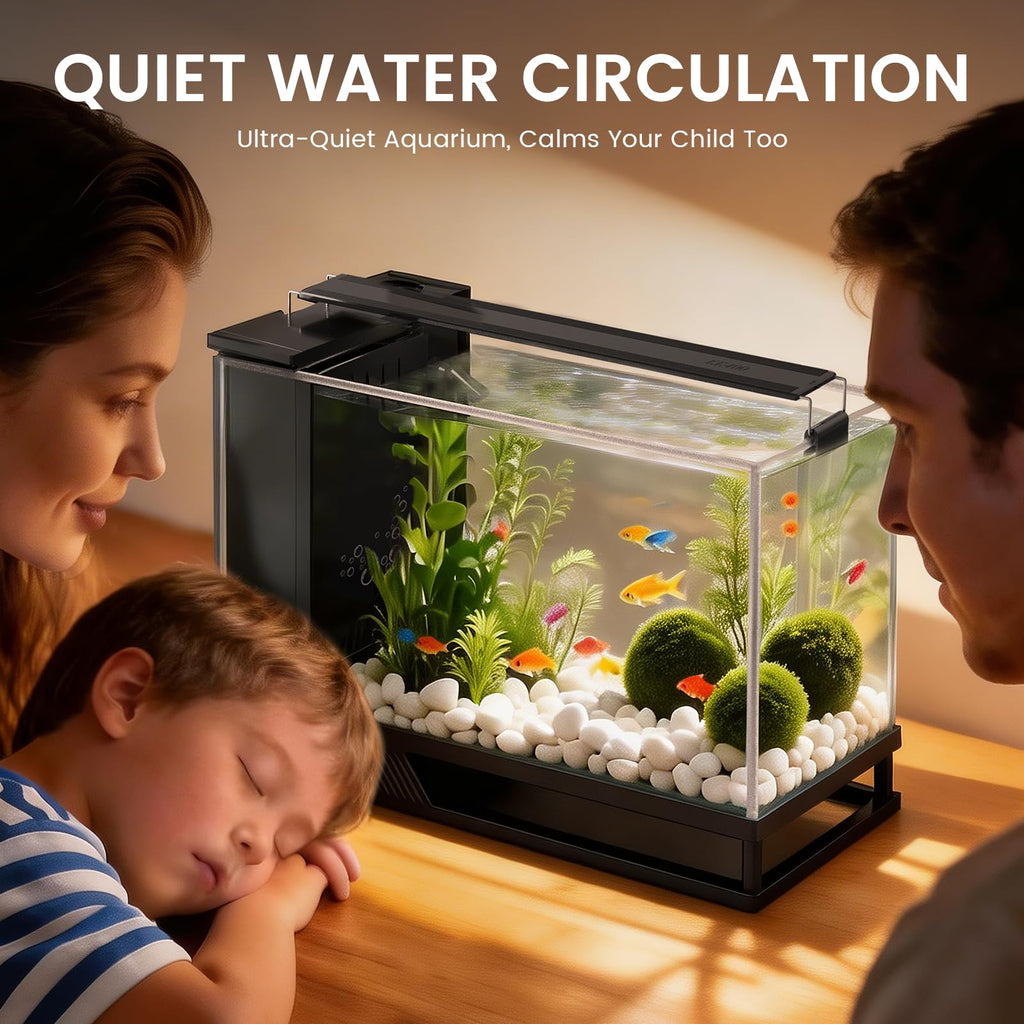 4 Gallon Aquarium Kit with Bottom Drainage B11613