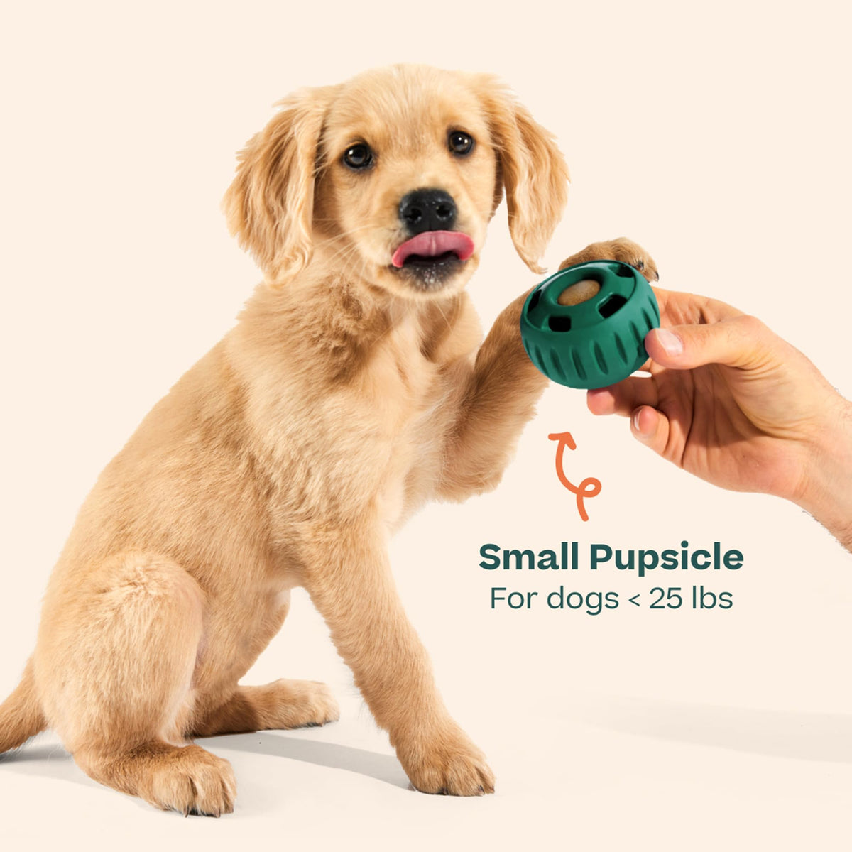 Interactive Dog Ball Toy 25-75 lbs Green R5582