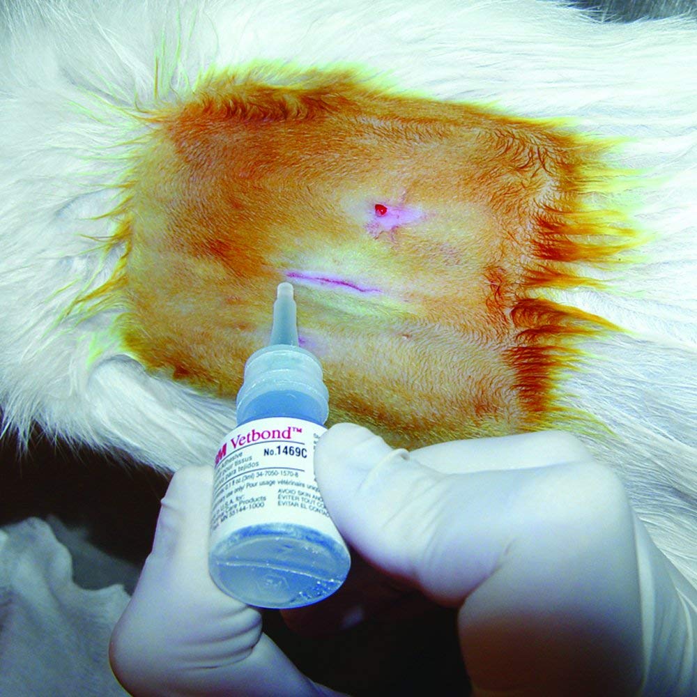 Veterinary Tissue Adhesive 0.1 oz V70802