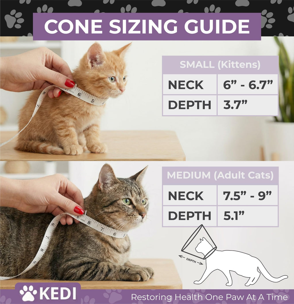 Black Medium Cat Cone Collar D3566