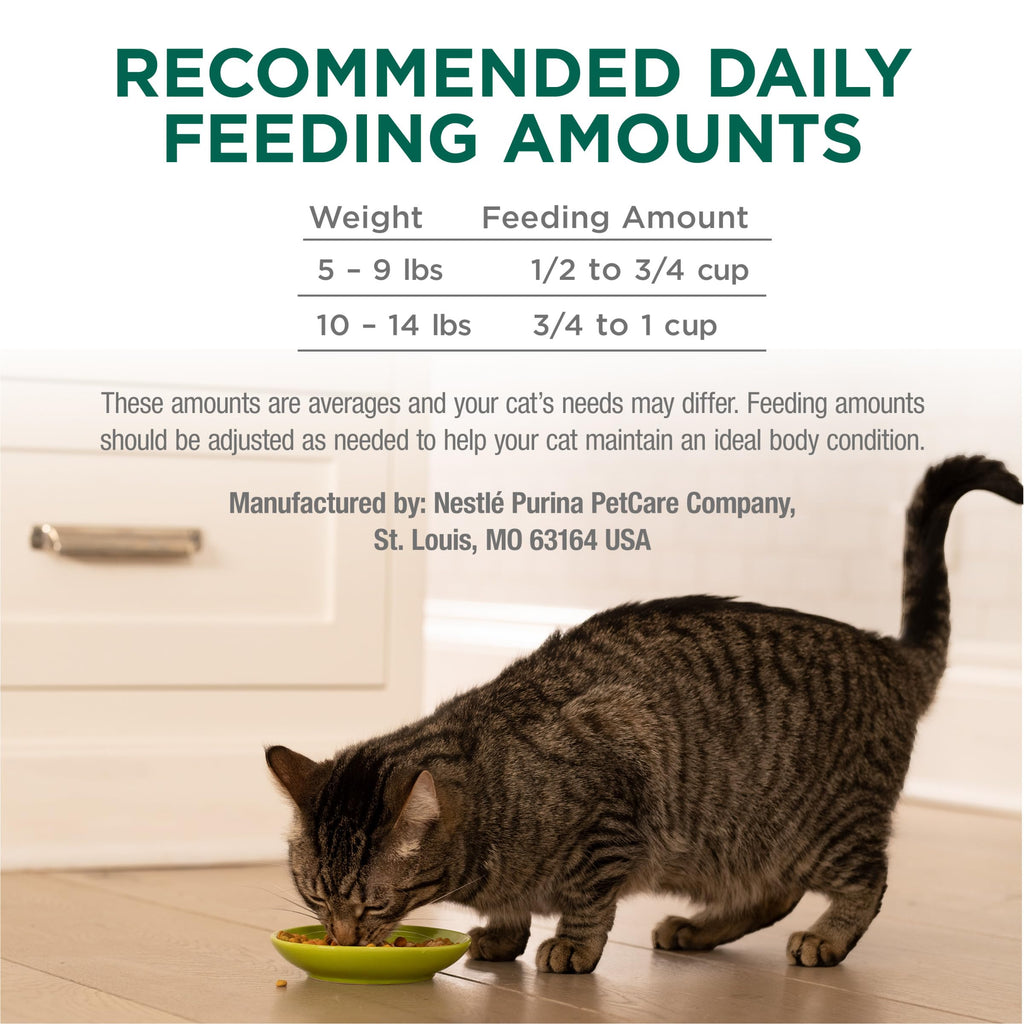 High Protein Dry Cat Food with Vitamins and Minerals 35 lb Bag Y267