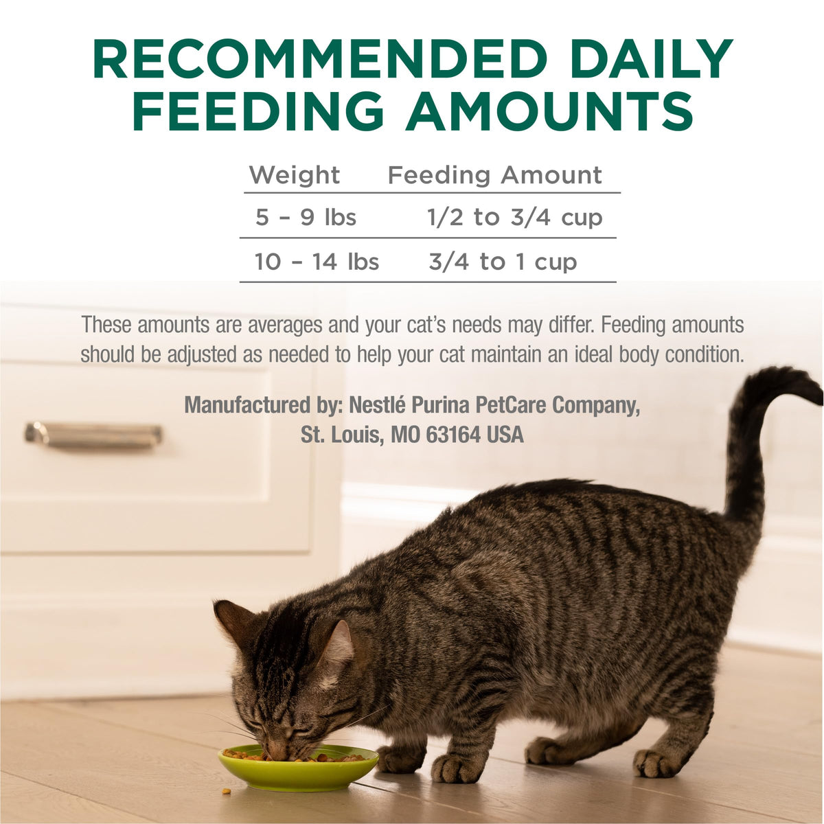 High Protein Dry Cat Food with Vitamins and Minerals 35 lb Bag Y267