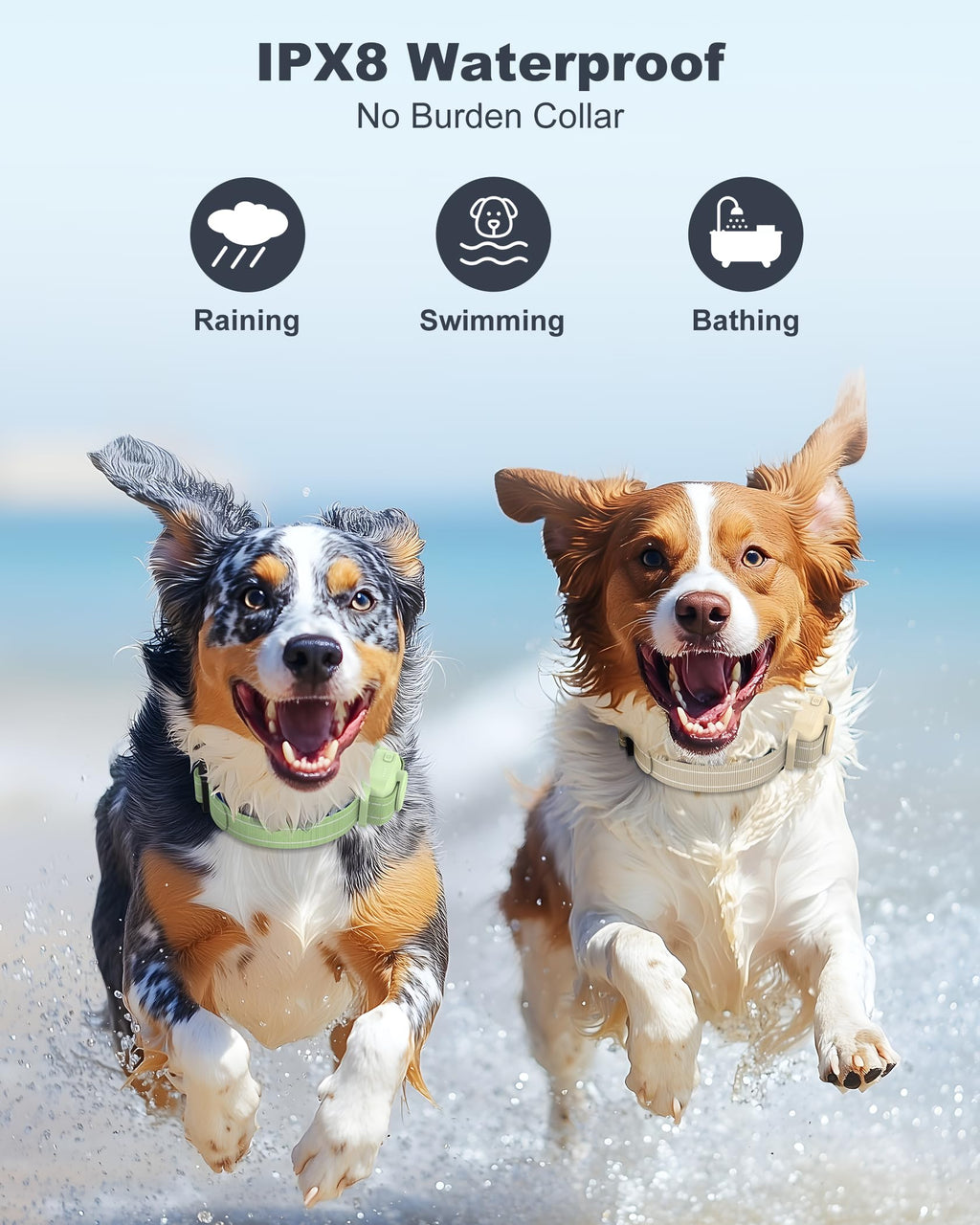 Dog Training Collar with Remote M44868