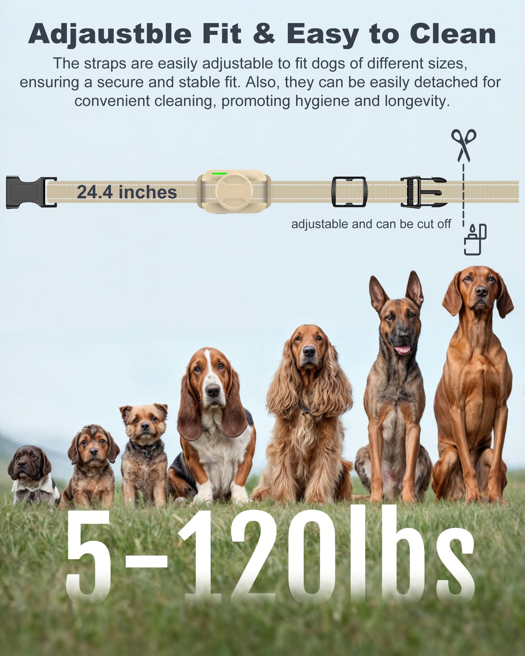 Dog Training Collar with Remote M44868