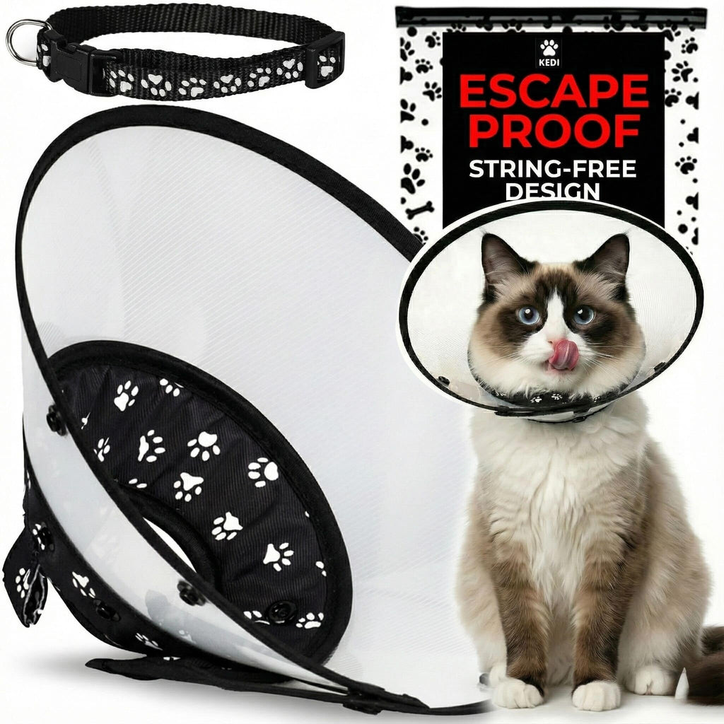 Black Medium Cat Cone Collar D3566