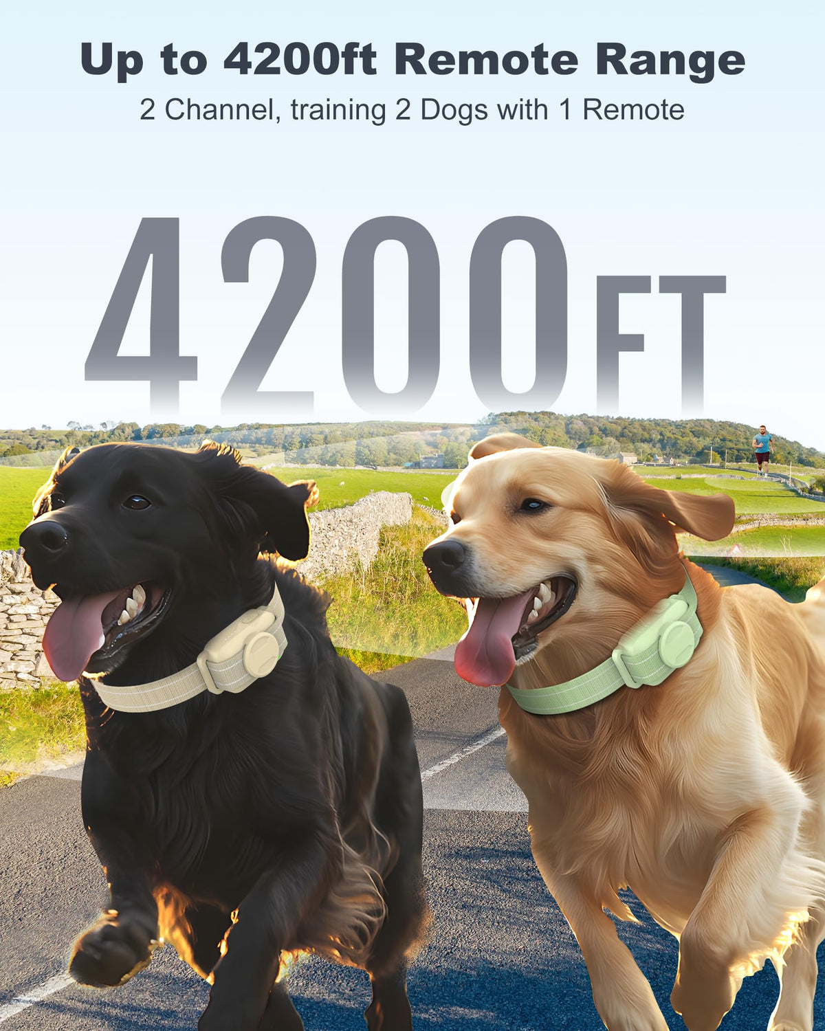 Dog Training Collar with Remote M44868