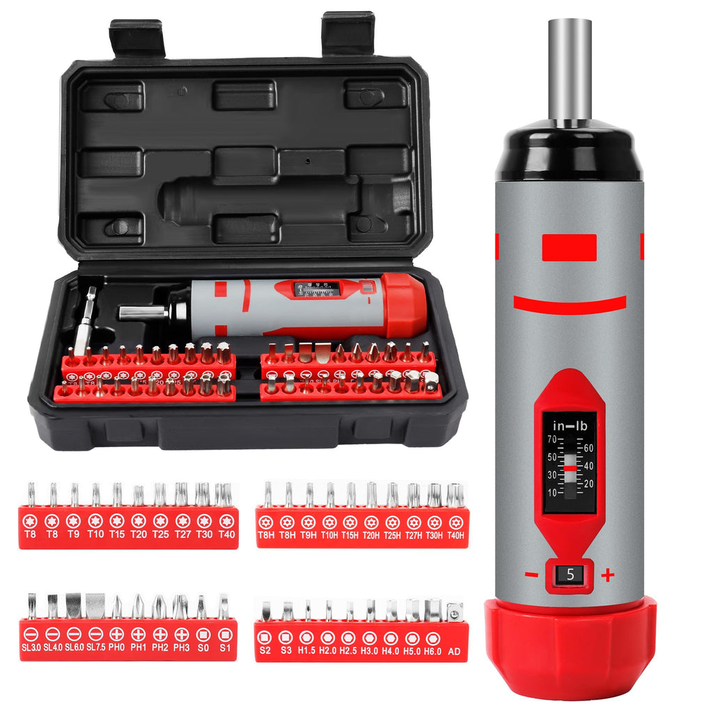 42-Piece Torque Screwdriver Set with 40 CR-V Bits D1929