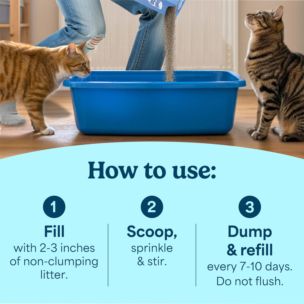 Non-Clumping Cat Litter with Odor Control, 35 lb. Bag C7834