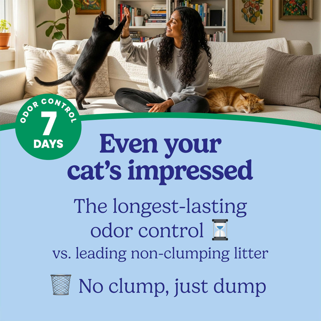 Non-Clumping Cat Litter with Odor Control, 35 lb. Bag C7834