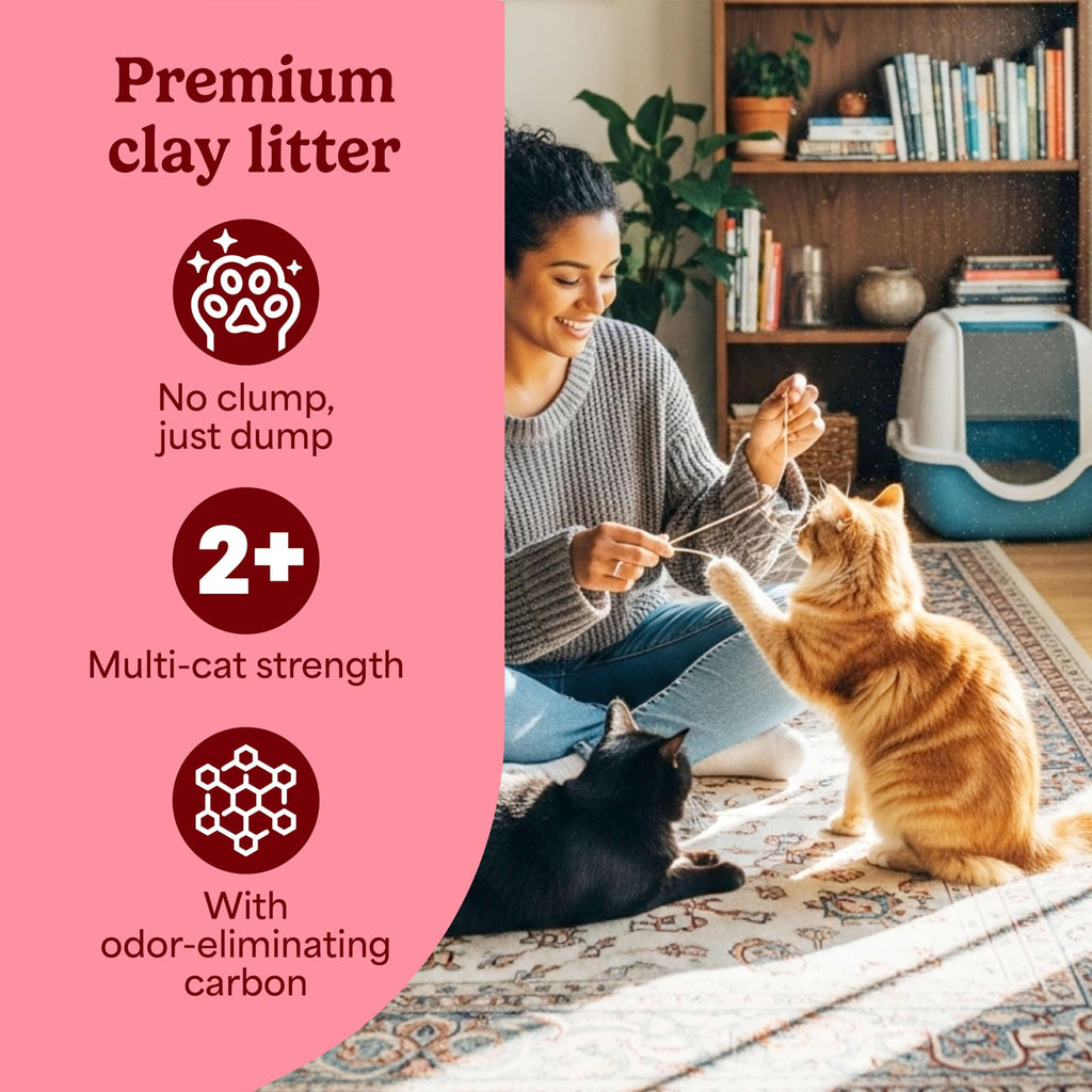 Non-Clumping Cat Litter with Odor Control, 35 lb. Bag C7834