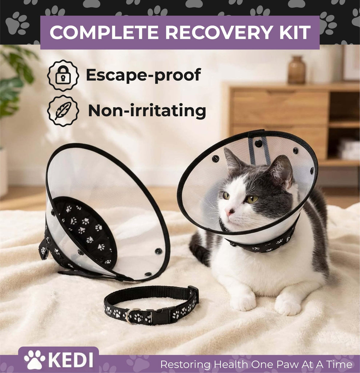 Black Medium Cat Cone Collar D3566