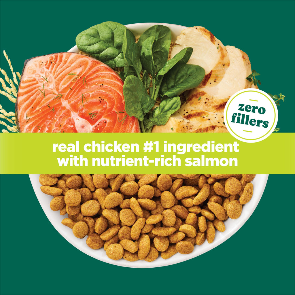 High Protein Dry Cat Food with Vitamins and Minerals 35 lb Bag Y267